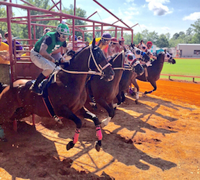 Hanging out at the starting gate during the horse races.