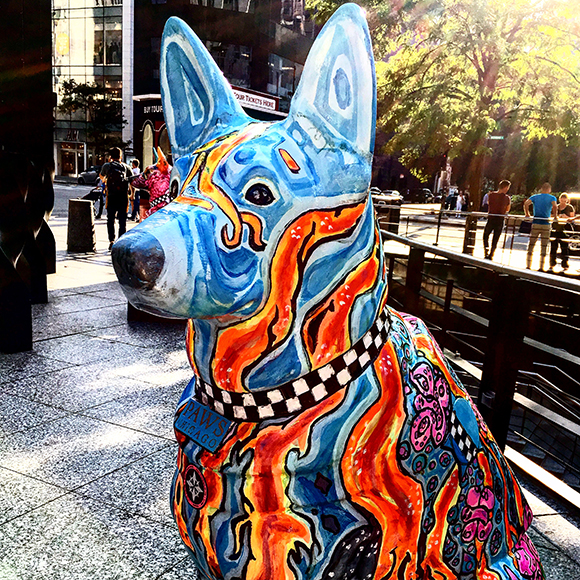 Chicago Police Dog on the Magnificent Mile. See more of our pictures on my instagram account – joelmcneece.